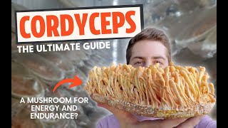 Zombie Fungus or Energy Mushroom? The Ultimate Guide To Cordyceps