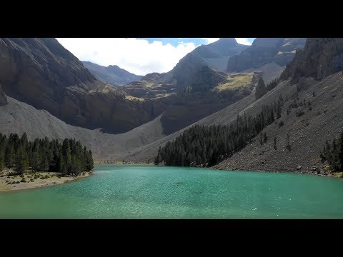 EVASIÓN TV PROGRAMA 125