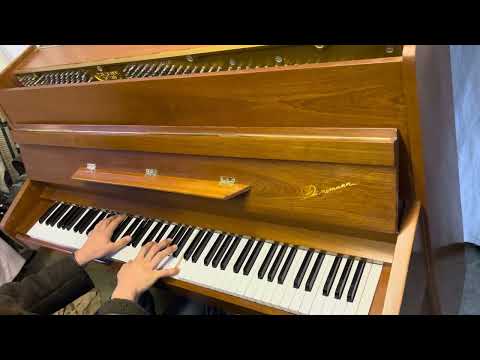 Danemann professional Pianists Piano