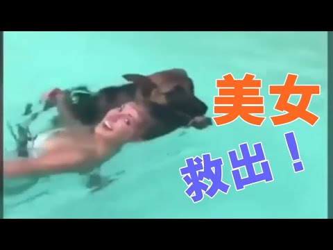 動画 放送事故おもしろ集 2ページ目 可愛すぎる女の子の動画 動画 放送事故おもしろ集 2ページ目 可愛すぎる女の子の動画