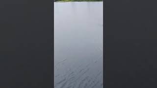 सिद्धार्थनगर में अधिक बारिश होने के कारण आया बाढ़🙏🙏🙏👍👍👍🥰🥰🥰 Siddharth Nagar mein adhik bar