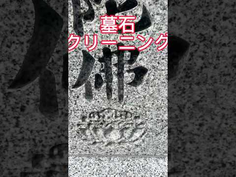 墓地に適した手入れの簡単な植物は何ですか？私たちのトップ5！  庭園