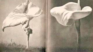 Cocteau Twins - Sugar hiccup