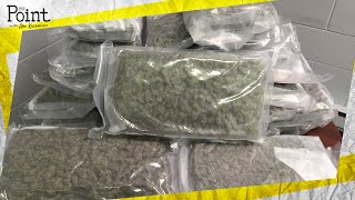 House Accidentally Receives 50 POUNDS Of Weed!