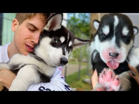 download lagu mp3 mp4 Goodbye Yellow, download lagu Goodbye Yellow gratis, unduh video klip Download Goodbye Yellow Mp3 dan Mp4 Unlimited Gratis