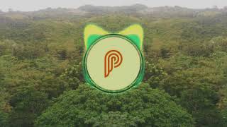 Mr. Postman ( P-NOIZE Bootleg)