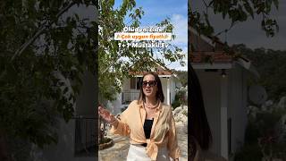 Ölüdeniz’de çok uygun fiyatlı konaklama +90 252 606 05 40 #fethiye #tatilvlog #t