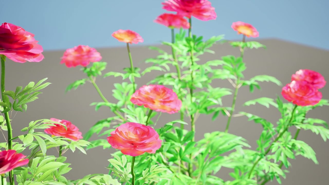 Karl Rosenfield Peony flowers 3D Model