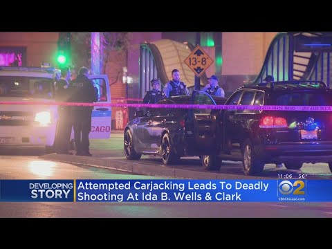 Fatal Shooting In South Loop