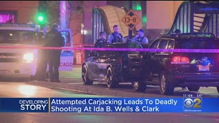 Fatal Shooting In South Loop