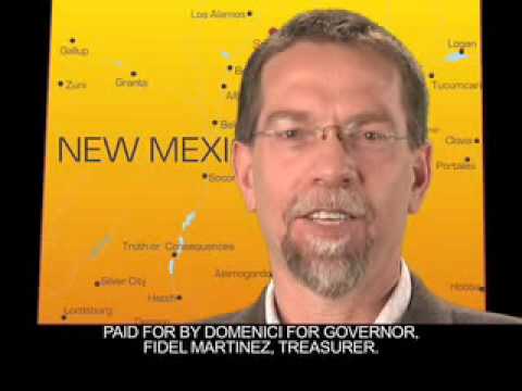 Domenici TV ads