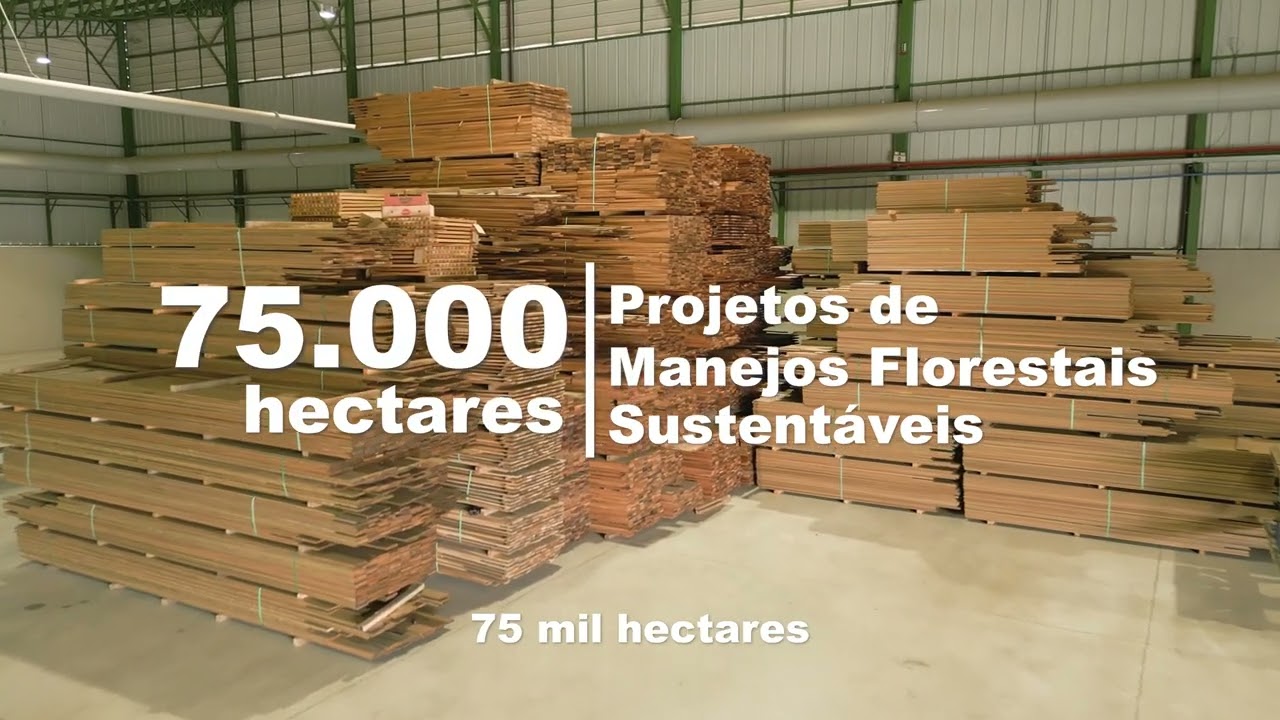 Institucional Verde Brasil Madeiras