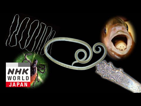 Parasite Planet - Science View