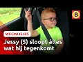 Maak kennis met sloopkogel Jessy (5) | Wegwijsjes