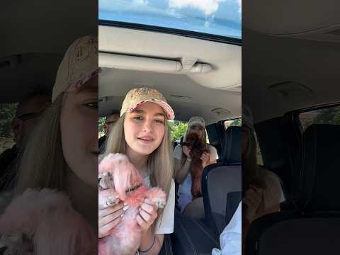 Sta mislite jesmo pobjedile ? 🏆🫶#balkangirl #twinmoments #funny #viral #dog #viral #memes #win