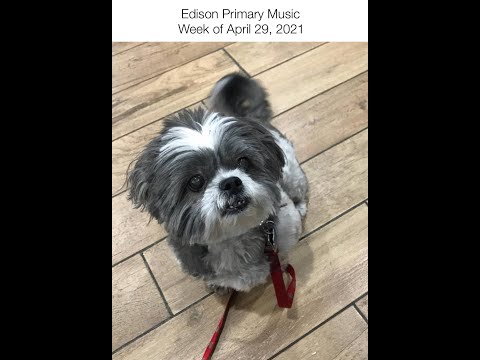Primary Music, Week of April 19, 2021