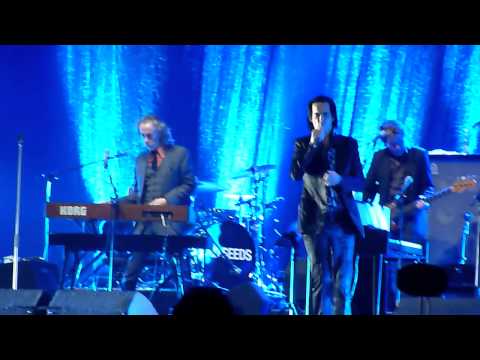 Nick Cave and the Bad Seeds - Jubilee Street - EXIT 2013