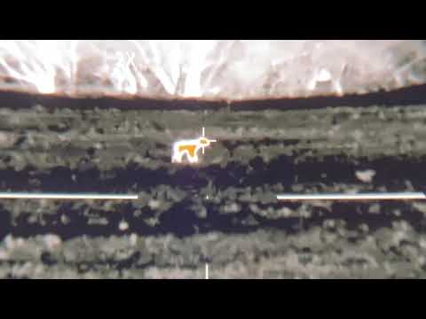 Burris BT35 v2 Thermal Scope Review: Revolutionizing Night Hunting