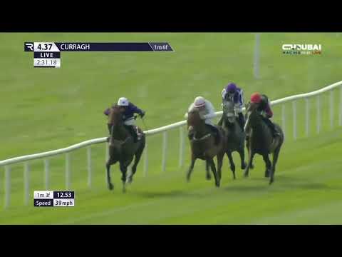 G3・愛セントレジャーTR 2025 / Comer Group International Irish St. Leger Trial Stakes 2025