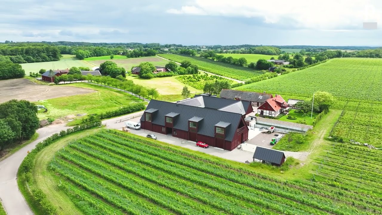 Kullabergs Vingård - Preconal