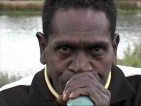 David Dharrapuy Gaykamangu | Blue Bamboo | didgeridoo interest