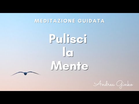 Clear Your Mind of Negative Thoughts: Guided Meditation to Achieve Inner Peace