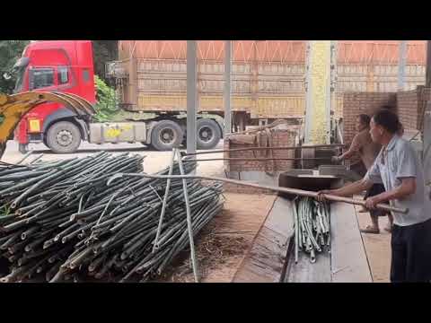 Inside High Speed Factory Loading Thousands Of Bamboos into Heavy Trucks