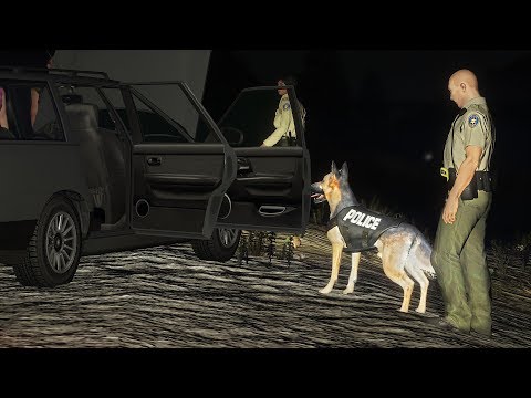 LSPDFR - Day 1004 - Salty