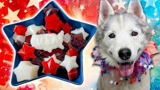 The ULTIMATE Patriotic Dog Treat Recipe! 🎆 DIY Gummy Dog Treats For 4th of July