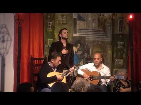 Luís Caeiro - "Trago fado nos sentidos"