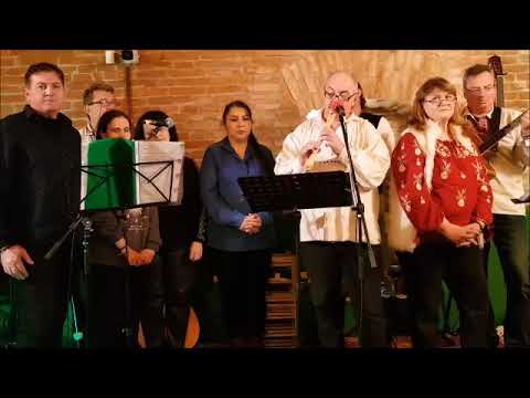 Nicolae Doboș cu Trupa Arhaic și prietenii -  Or pornit cătanele pă drum (din concert)