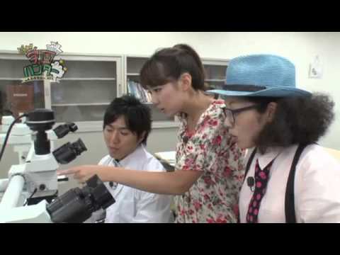 「いのち」を支えるスペシャリストに！神戸常盤大学！