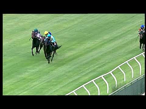 Napoli Galoppo 18/06/2021 - 1ª corsa