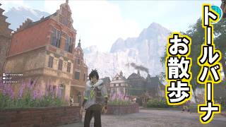 【死んだらデータ消失】番外編/神ゲーの街を楽しもうよ【Echoes of Aincrad】