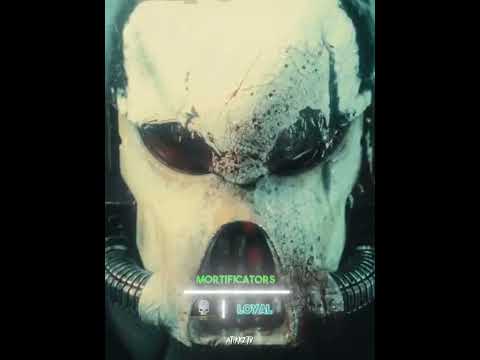 Introducing the chapters of Astartes II 🦅 #warhammer40k #astartes #spacemarines #astartes2