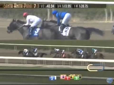 CALIDOSCOPIO: TOKIO CITY CUP