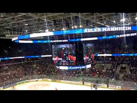 Brandon Yip vs Sergej Stas 31.03.2015 Mannheim vs Wolfsburg