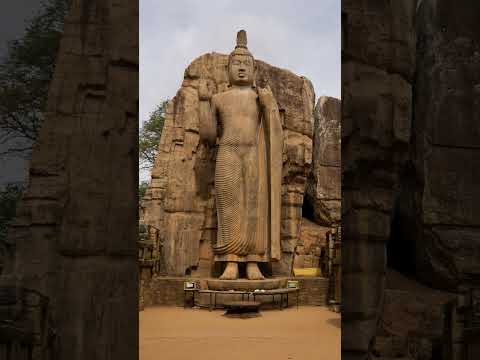 aukana budu pilima wahanse #anuradhapura #srilanka #Apede #onemillion