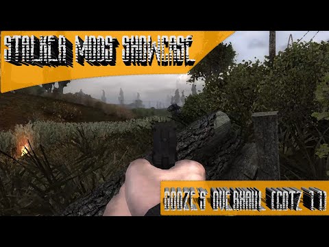 Stalker Mods Showcase 117 - GoozE's Overhaul (CoTZ 1.1)