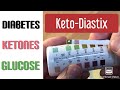 So Verwenden Sie Keto Diastix Für Haustiere
