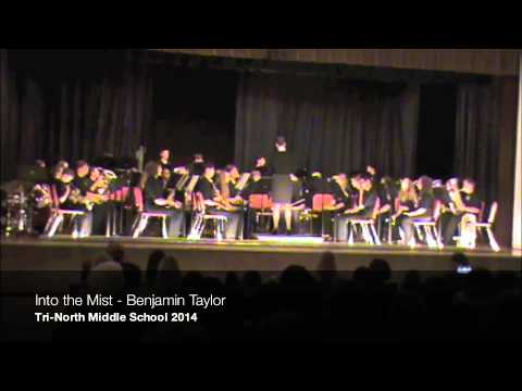 Into the Mist - Benjamin Taylor