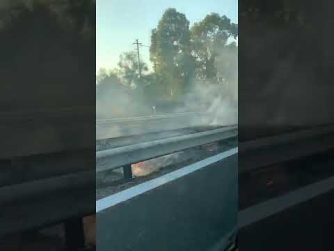 Incendio sulla Siracusa-Catania, pericolo per gli automobilisti in transito: il VIDEO Incendio sulla Siracusa-Catania, pericolo per gli automobilisti in transito: il VIDEO