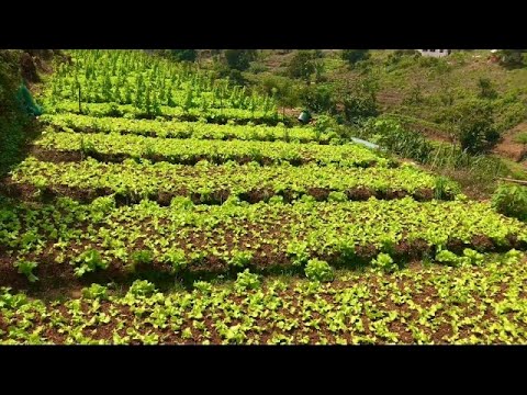 🇸🇱Reasons Why I Love Gloucester Village