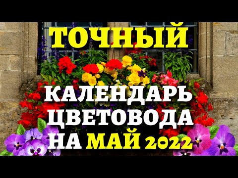 ЛУННЫЙ КАЛЕНДАРЬ ЦВЕТОВОДА МАЙ 2022. Когда пересаживать цветы, сажать, поливать, подкармливать