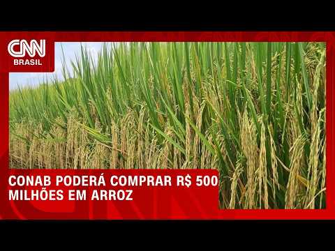 El Niño faz governo destinar até R$ 500 milhões para compra de arroz | CNN AGRO NEWS
