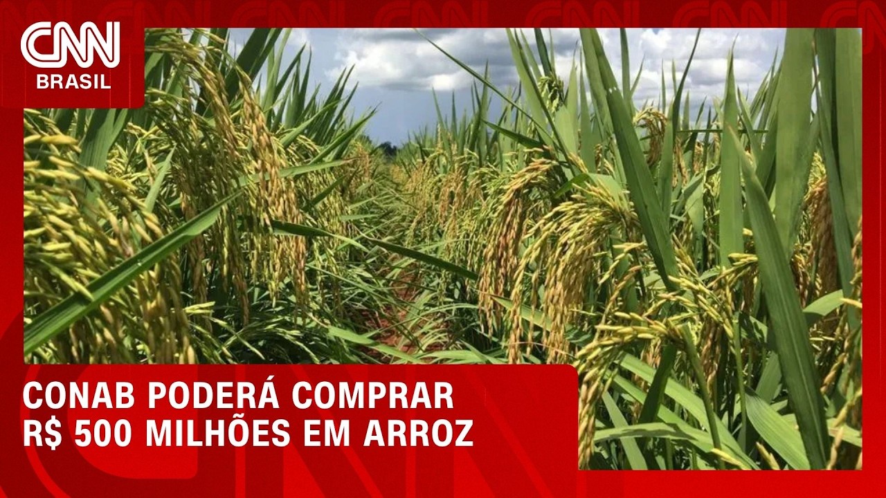 El Niño faz governo destinar até R$ 500 milhões para compra de arroz | CNN AGRO NEWS