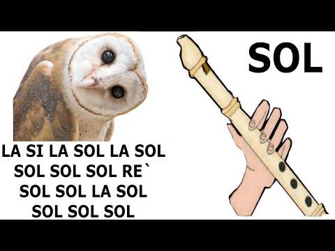 *_* La lechuza *_* flauta dulce fácil, tutorial con animación, easy flute recorder