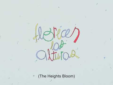Florecen Las Alturas (The Heights Bloom) - TRAILER