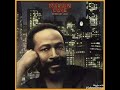 Marvin Gaye - Sexual Healing (Extended Version)