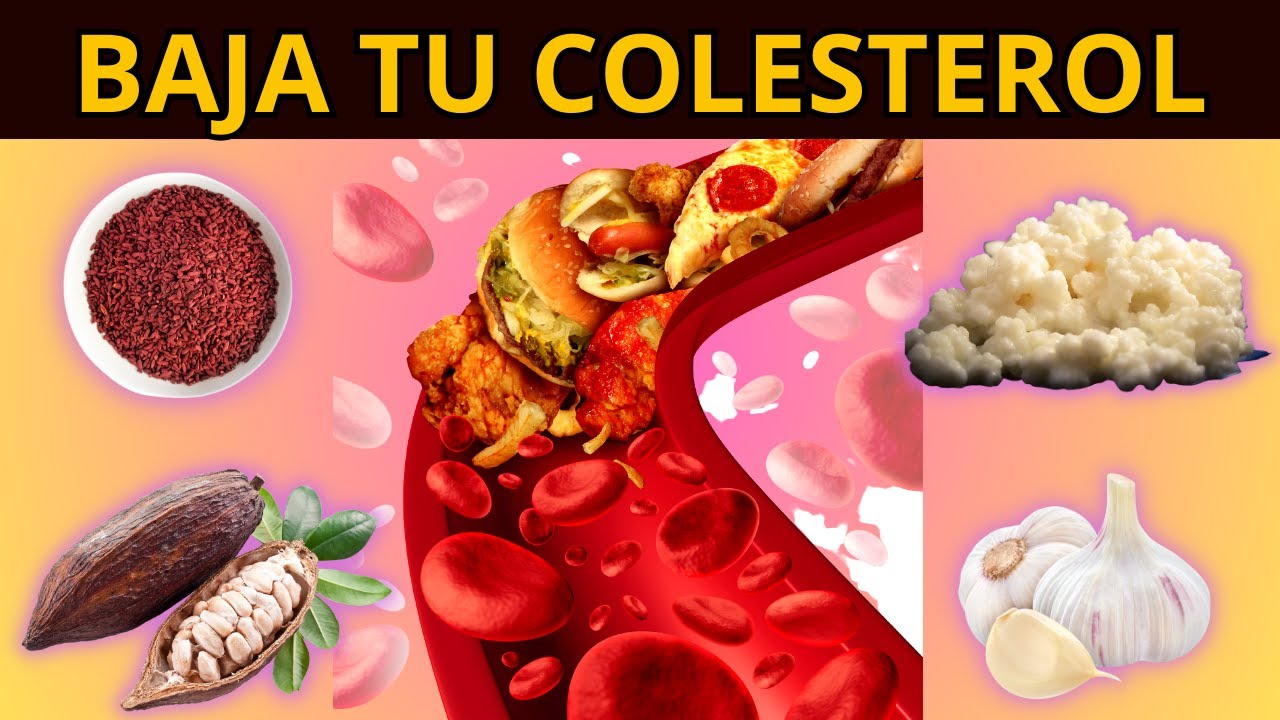 8 ALIMENTOS PARA BAJAR TU COLESTEROL: alimentos funcionales para dislipidemia